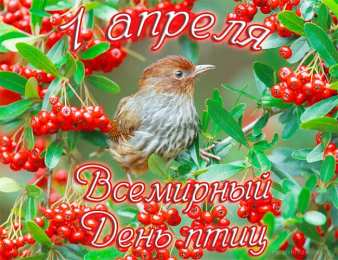 С днём птиц С международным днем птиц картинки. Открытка день птиц 2019.