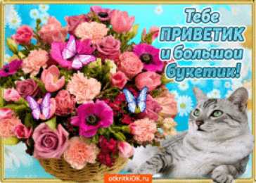 С приветствием Привет как дела? Открытка с собакой Привет Желаю отличного настроения!