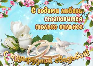 55 лет - изумрудная свадьба Картинка с изумрудной свадьбой. Изумрудная свадьба поздравления.