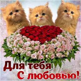 Для любимой Картинка С добрым утром для любимой. Картинка для любимой.  