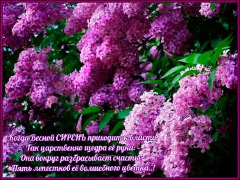 Открытки С сиренью Картинки доброе утро с сиренью. Картинки С днём рождения с сиренью. Картинки девушка с сиренью. Картинки на рабочий стол с сиренью. Картинки корзина с сиренью. Картинки с сиренью. Картинки с сиренью скачать картинки с сиренью цветы.