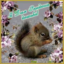 С белочками Открытка белочка с днём рождения. Прикольные открытки с белочкой.