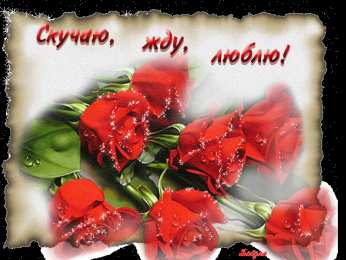 С красными розами Картинка с красными розами. Живые розы фото. Шикарные розы фото.