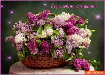 С сиренью Открытки С днём сирени. Поздравительные открытки с сиренью. 