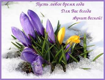 С крокусами Открытка Спасибо что есть на земле чудеса, мерцающий фиолетовый Крокус.