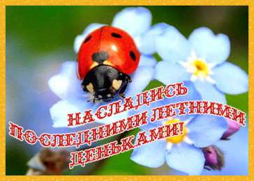 Про лето Картинки лето. Красивые открытки лето. Открытки и картинки лето.