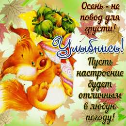 С белочками Открытки осенний Приветик с белочками. Открытка белочка с орешками.