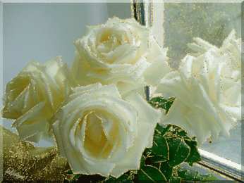 С белыми розами Шикарные Белые розы фото. Белые розы фото букет. Фото Белые розы в вазе.