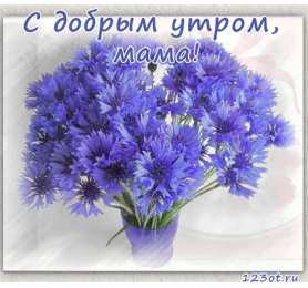 С васильками Картинки с васильками. Картинки с васильками с днём рождения.