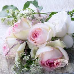 С розовыми розами Красивые картинки с розовыми розами. Картинка с розовыми розами.