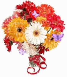 С герберами Оранжевые герберы фото. Герберы фото букетов. Белые герберы фото.