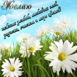 С ромашками Открытка с ромашками на 8 марта. Открытка с ромашками Спасибо.