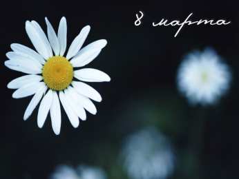 С ромашками Открытка с ромашками на 8 марта. Открытка с ромашками Спасибо.