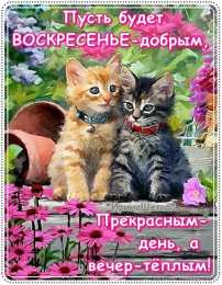 Открытки на воскресенье Картинки воскресенье утро. Красивые картинки на воскресенье.