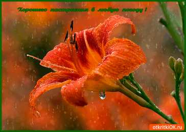 Картинки про погоду Статусы в картинках про погоду. Смешная картинка про погоду.