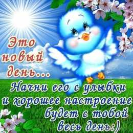 Добрый день Добрый день пожелания. Добрый день прикол. Добрый зимний день.