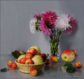 С астрами Открытка астры распустили свои крылья словно Ангелы, лохматые немножко.