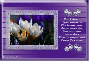 С крокусами Открытка С Днём рождения С белым крокусом и фиолетовыми прожилками.