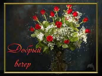 С красными розами Картинка с красными розами. Живые розы фото. Шикарные розы фото.