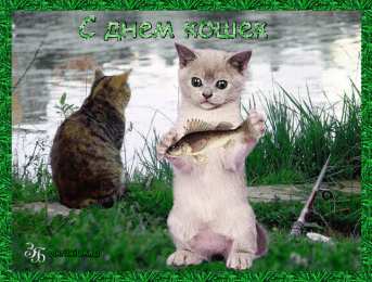 С Всемирным днём кошек Смешные открытки с Днем кошек. Картинка С днем кошек.