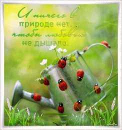 Про лето Смешные картинки Скоро лето. Хочу на море смешные картинки. 