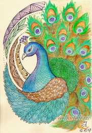 С павлинами Павлин открытки рисунки. Открытка павлин с распущенным хвостом.