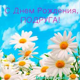 С ромашками Картинки с ромашками. Картинки Спокойной ночи с ромашками.  