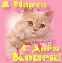 С Всемирным днём кошек Анимационные открытки с Днем кошек. Прикольные открытки с Днем кошек. 