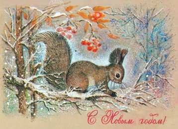 С белочками Открытка белочка и Ромашки. Открытка белочка с орешками.    