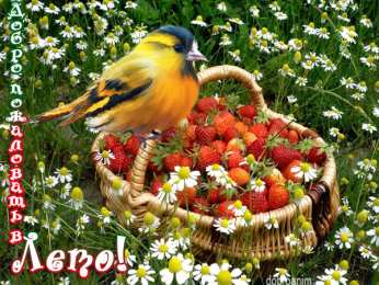 Про лето Смешные картинки Скоро лето. Хочу на море смешные картинки. 