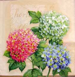 С гортензиями Открытка нарисованная с анимацией розовая и голубая гортензии.