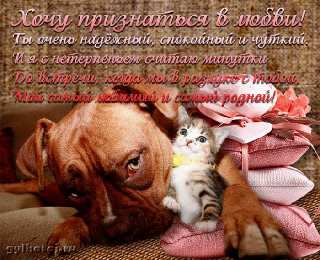 Стихи о любви Картинки про любовь со стихами скачать. Картинки про любовь скачать.