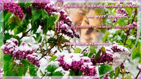 Открытки С сиренью Открытки С днём сирени. Поздравительные открытки с сиренью.  Картинки С днём рождения с сиренью. Открытки чудесного весеннего настроения с цветами сирени. Открытка веточка сирени для тебя. Открытка Приятного вечера с букетом сирени.