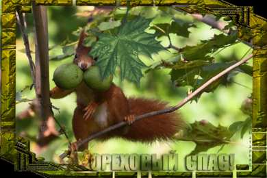 Ореховый спас Открытка Спас ореховый встречаем пирогами! Открытка с ореховым Спасом!