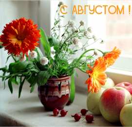 С астрами Фото Астры и хризантемы. Астры букет фото. Красивые Астры фото.