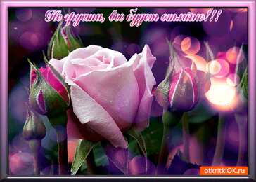 Не грусти Открытка со Смешариками не грусти. Открытки со стихами не грусти.