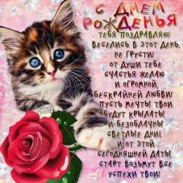 С кошками Смешные картинки котов с надписью. Смешные фото котов с приколами.