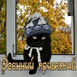 Осенний приветик Открытки осенний Приветик. Бесплатные открытки осенний Привет.