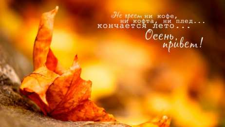 Осенний приветик Прикольные картинки осенний Привет. Красивые картинки осенний Привет. 