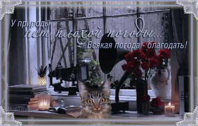 Картинки про погоду Смешные картинки про холодную погоду. Картинки Погода дождь.