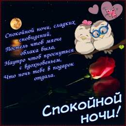 С совами Картинки С добрым утром с Соней. Картинки соловьи скачать бесплатно.