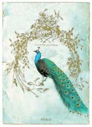 С павлинами Павлин открытки рисунки. Открытка павлин с распущенным хвостом.
