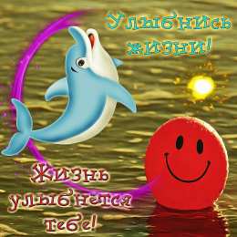 С дельфинами Картинки открытки дельфины на закате. Красивые открытки дельфинов.