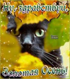 Первый день осени Открытки С днём 1 сентября. Бесплатные открытки С первым днём осени.