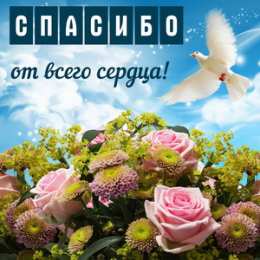 Спасибо Картинки со словом Спасибо. Картинки Спасибо за внимание смешные.