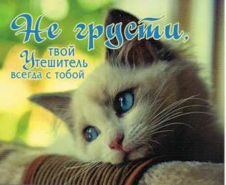 Otkrytki Otkrytka Ne Grusti Otkrytka Ne Grusti Vsyo Budet Horosho