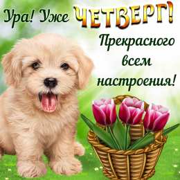  Открытка четверг. Открытка четверг Доброе утро.