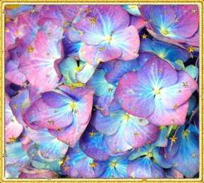  Открытки С днём рождения с гортензиями. Открытки гортензиями.