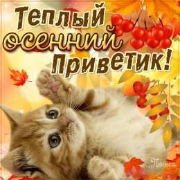  Открытки осенний Приветик. Бесплатные открытки осенний Привет.