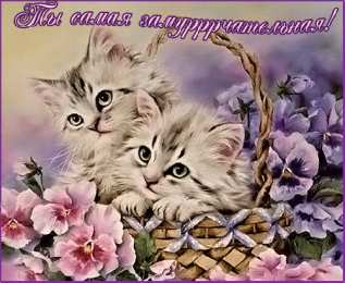  Открытки с животными. Открытки с животными скачать бесплатно.